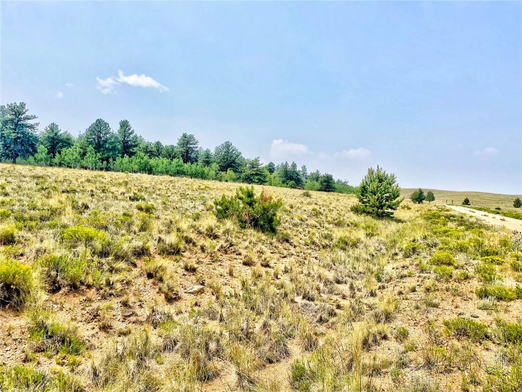 Hartsel, CO 80449,887 Superstition TRL