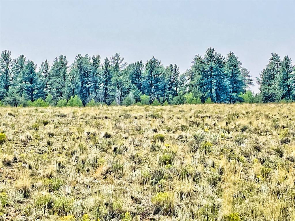 Hartsel, CO 80449,887 Superstition TRL