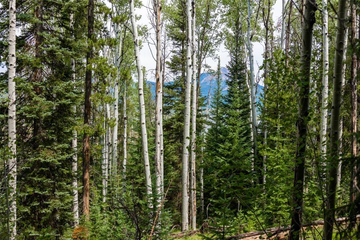 Clark, CO 80428,39455 Crows Nest DR