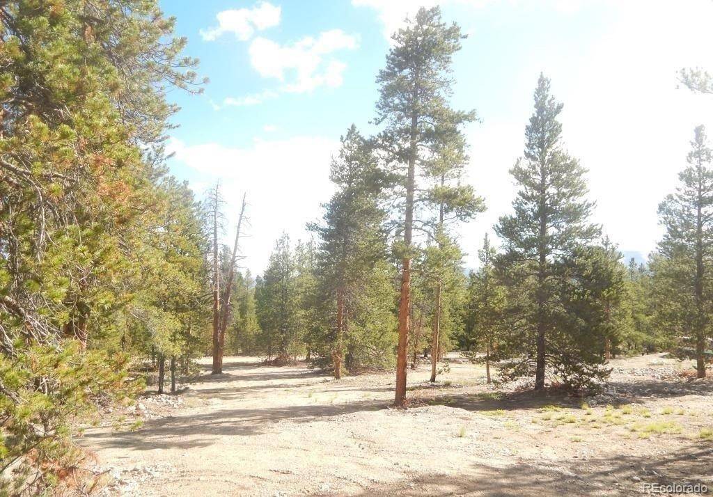 Twin  Lakes, CO 81251,480 Ridge RD