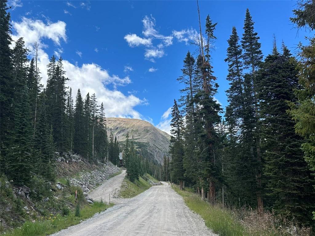 B R E C K E N R I D G E, CO 80424,355 Quandary View DR