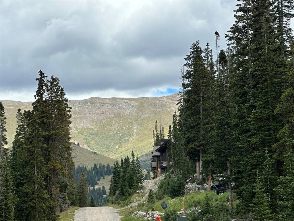 B R E C K E N R I D G E, CO 80424,355 Quandary View DR