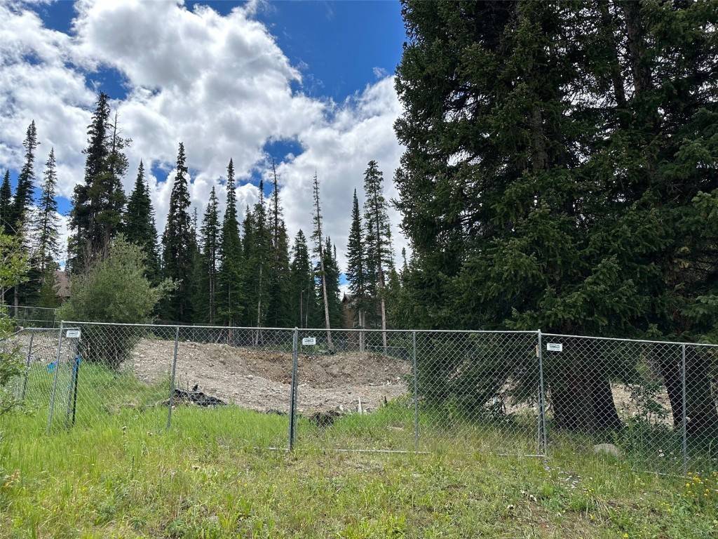 Breckenridge, CO 80424,116 Lance LN
