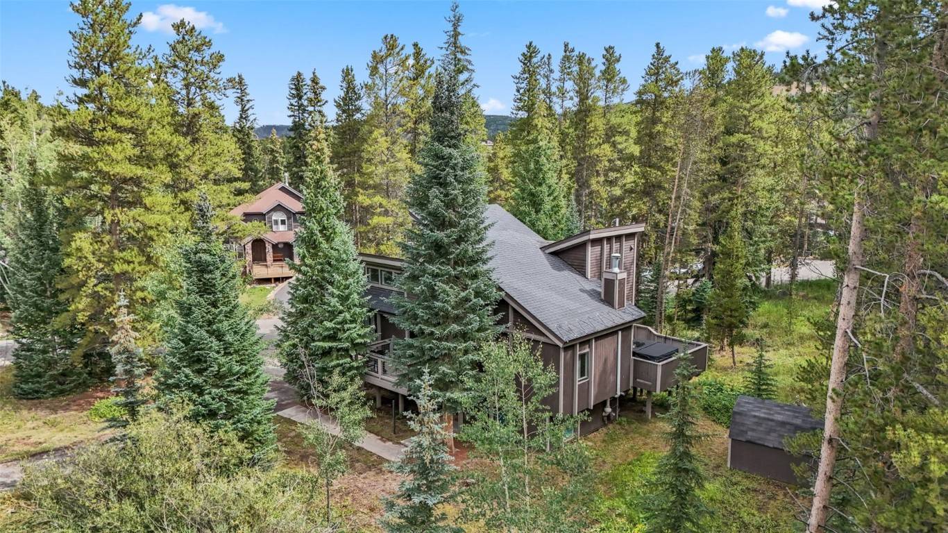 Breckenridge, CO 80424,192 Tomahawk LN