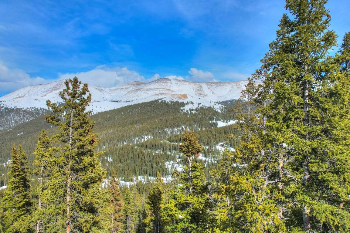 Breckenridge, CO 80424,413 Carroll LN
