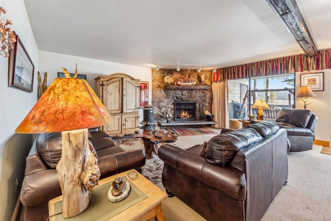 Dillon, CO 80435,244 Lodgepole ST #11