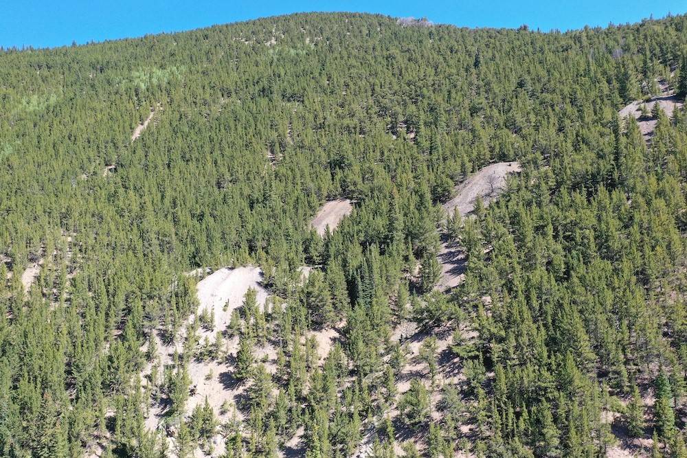 Silver  Plume, CO 80476,0000 Silver ST