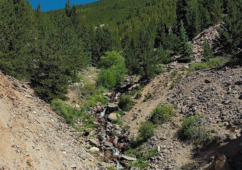 Silver  Plume, CO 80476,0000 Silver ST