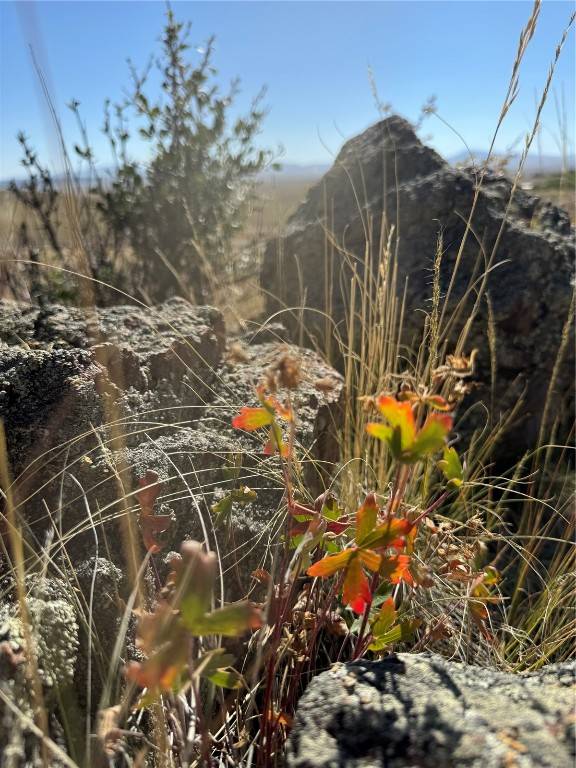 Hartsel, CO 80449,123 Campfire RD