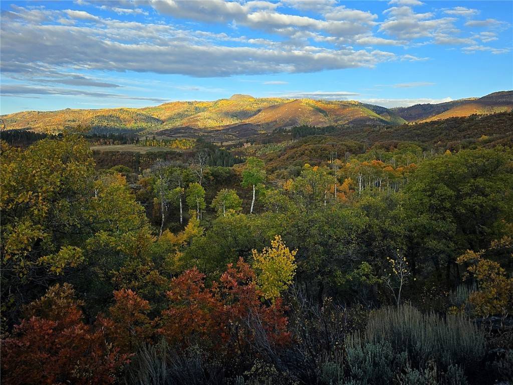 Steamboat  Springs, CO 80487,50560 Smith Creek Park RD