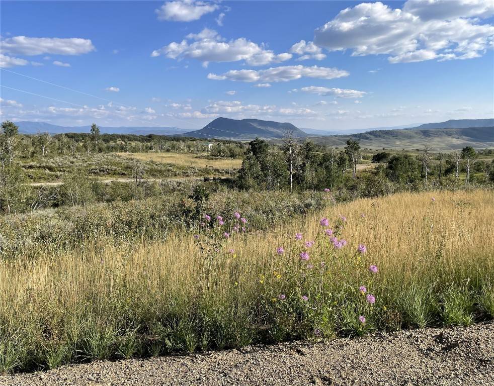 Steamboat  Springs, CO 80487,50560 Smith Creek Park RD