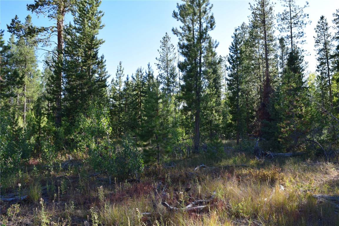 Oak  Creek, CO 80467,20935 Cayuse WAY