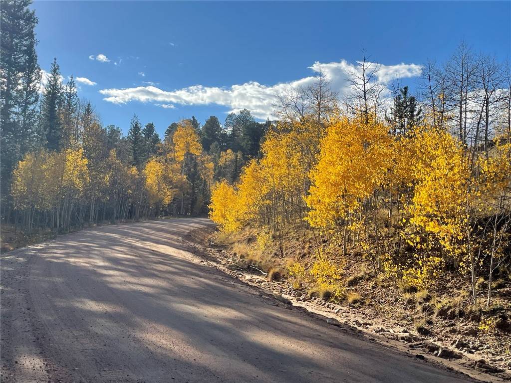 Como, CO 80432,6409 Remington RD