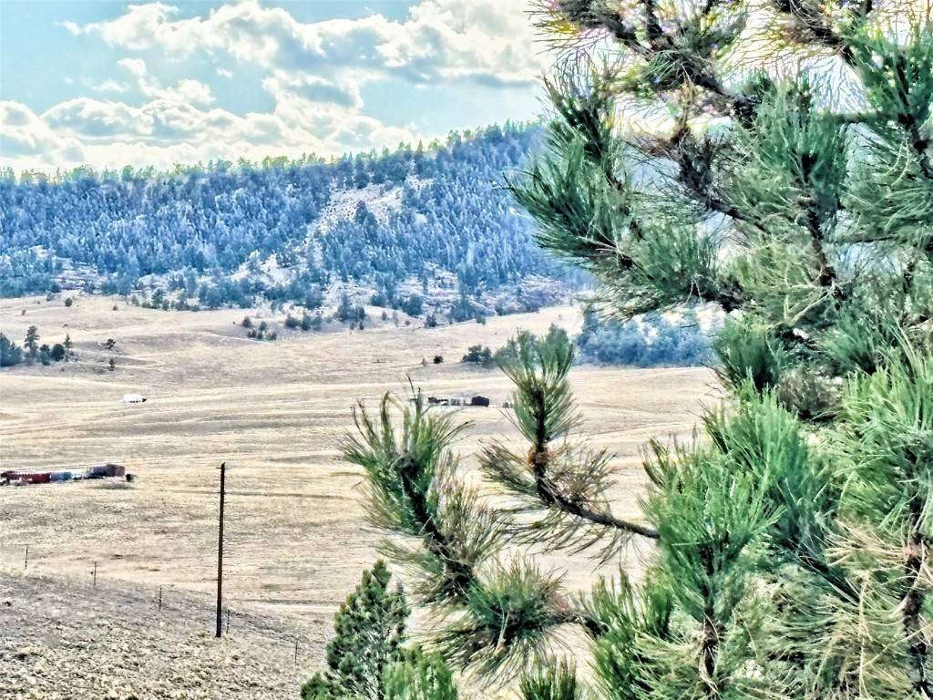 Hartsel, CO 80449,115 Black Canyon CT