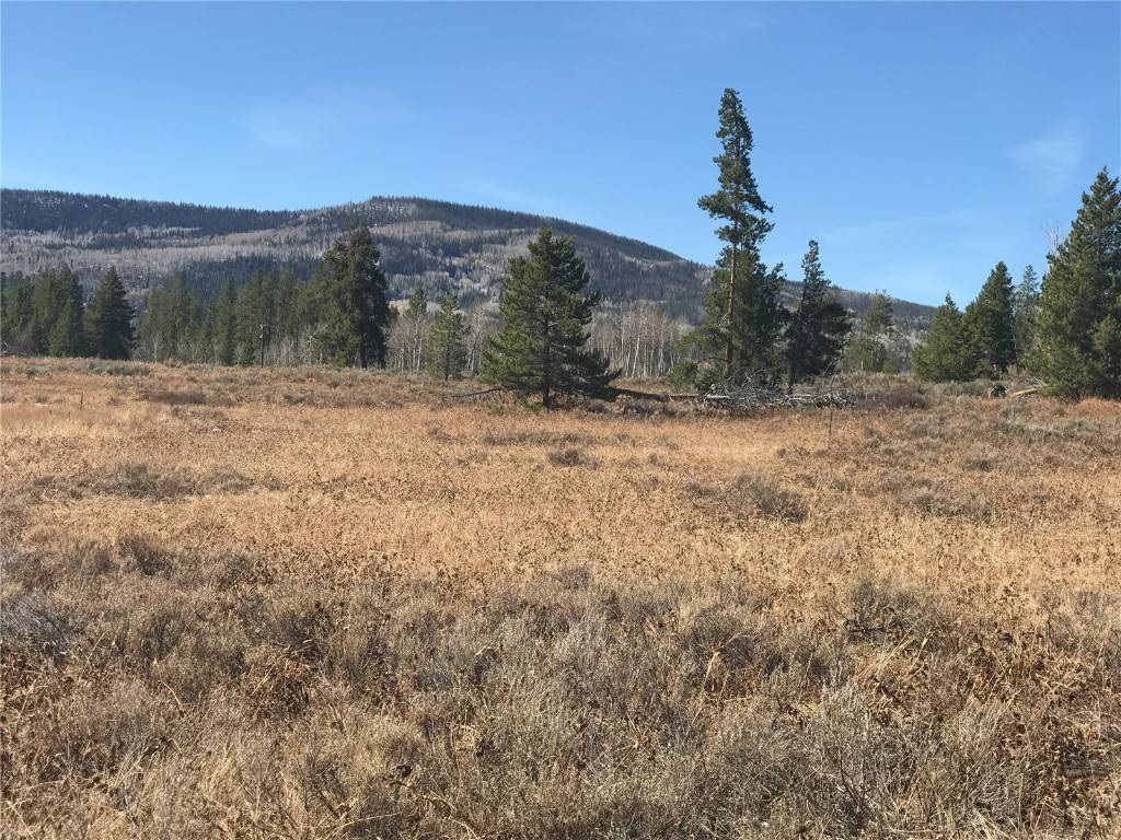 Oak  Creek, CO 80467,33520 Seneca TRL