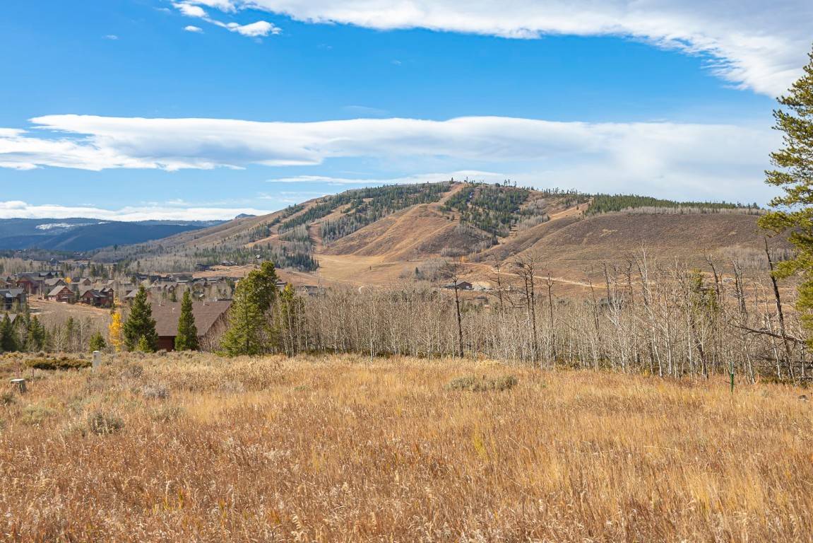 Granby, CO 80446,1050 Mt Neva DR