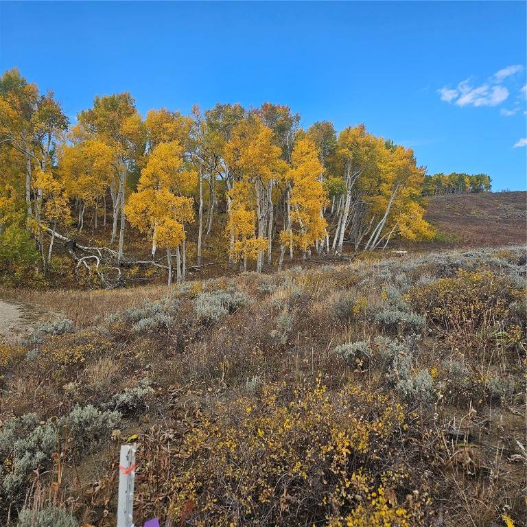 Kremmling, CO 80459,572 GCR 284