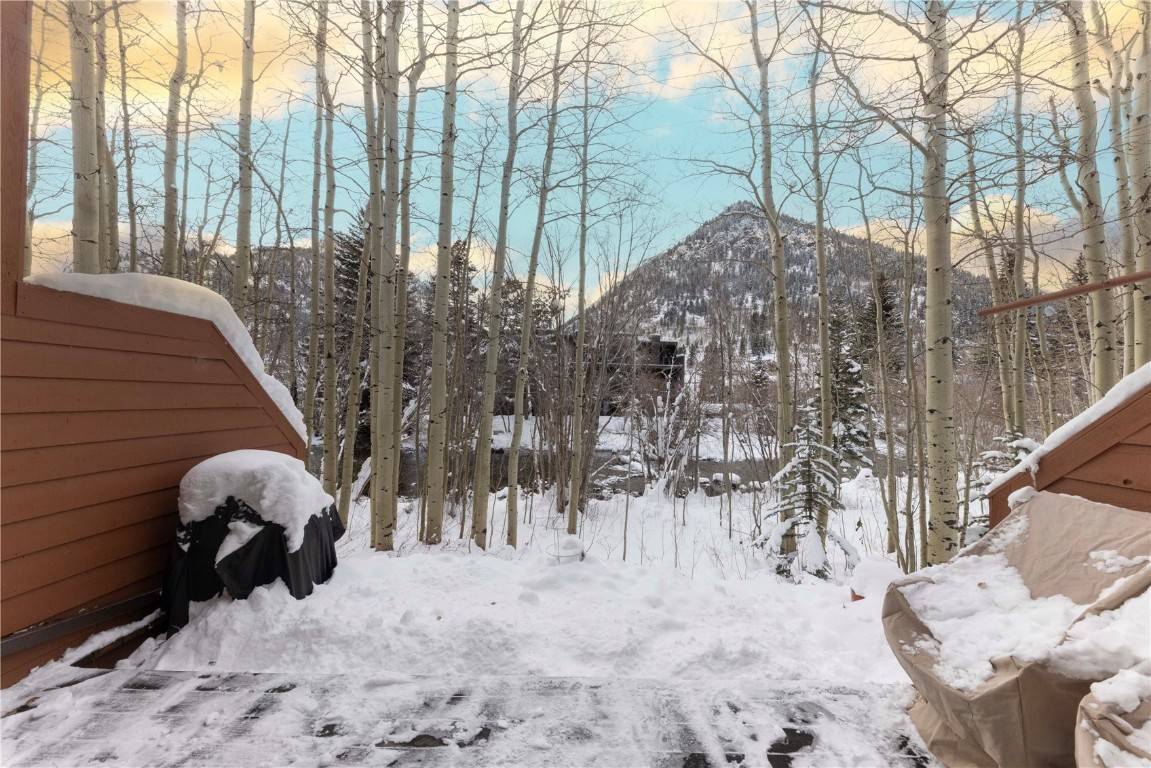Frisco, CO 80443,487 W Main ST #C