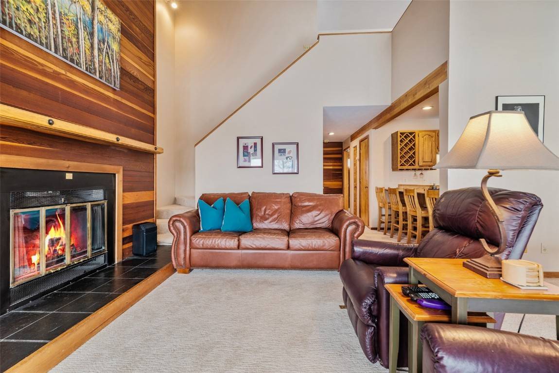 Silverthorne, CO 80498,91200 Ryan Gulch RD #91223