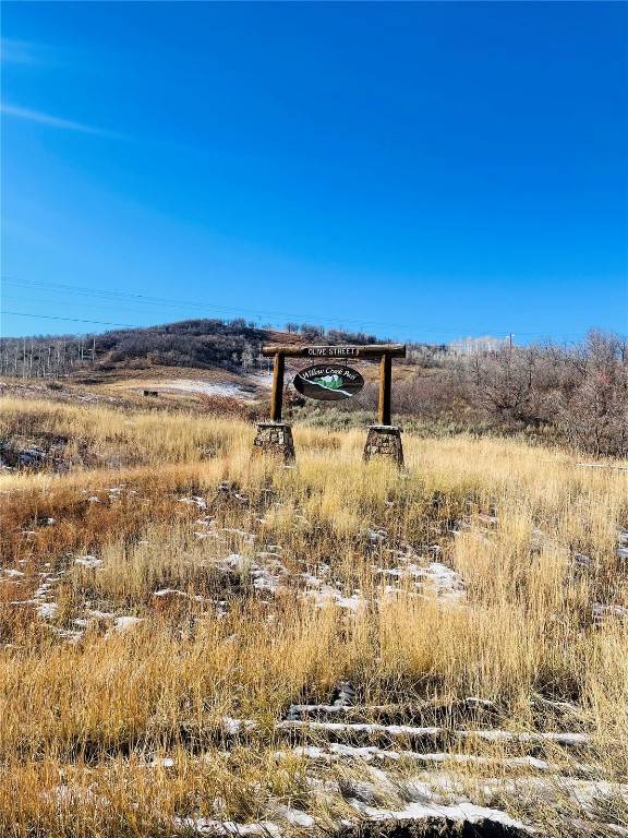 Clark, CO 80428,27250 Frisco PL