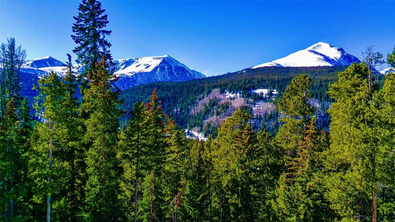 Breckenridge, CO 80424,1013 Range RD
