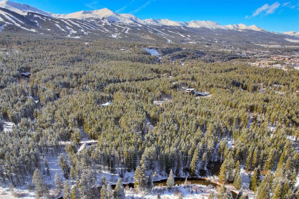 Breckenridge, CO 80424,84 Blue Flag CIR