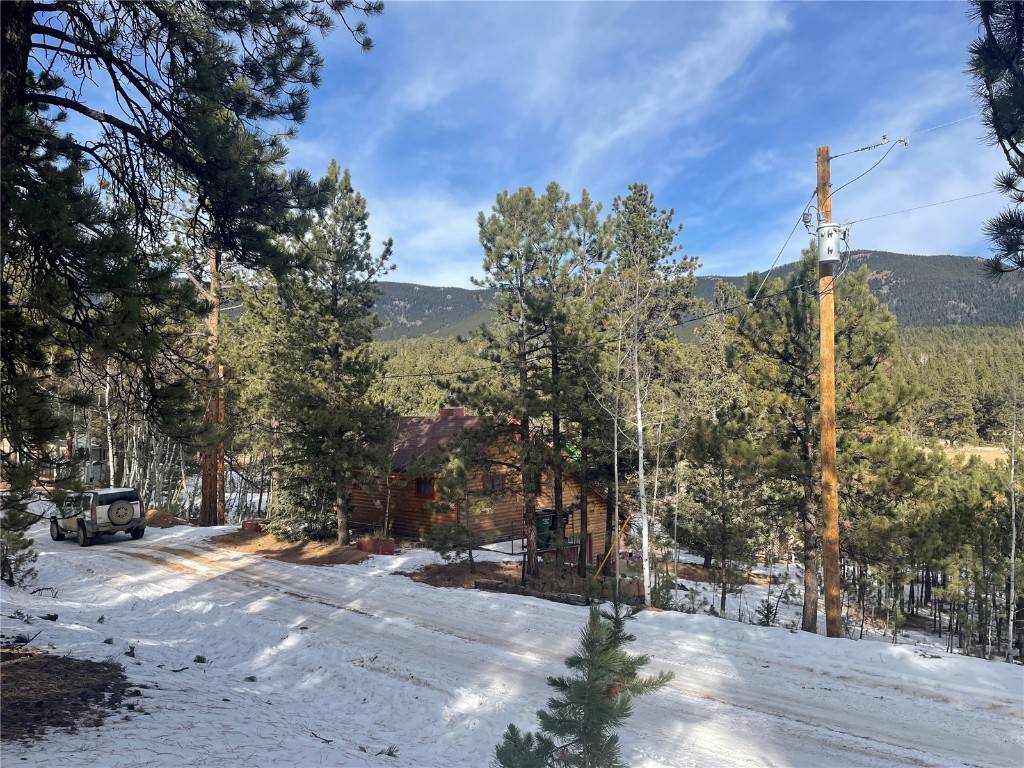 Bailey, CO 80421,203 Neal ST