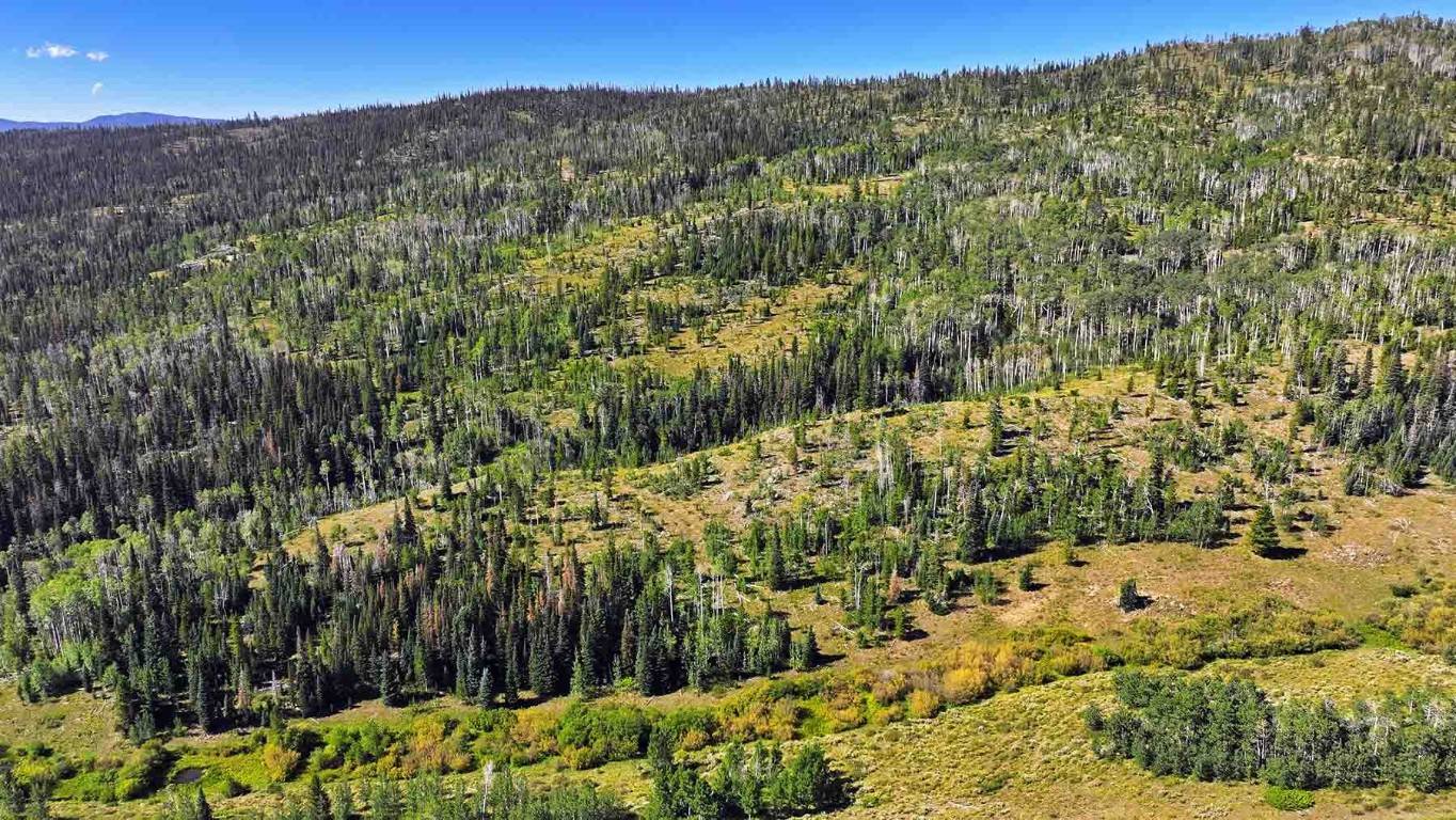 Kremmling, CO 80459,1300 County Road 1450