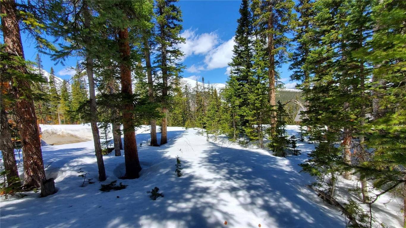 Breckenridge, CO 80424,107 Hamilton LN
