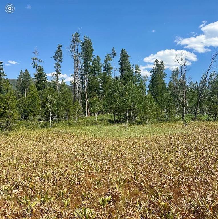 Oak  Creek, CO 80467,11 Whiffle Tree TRL