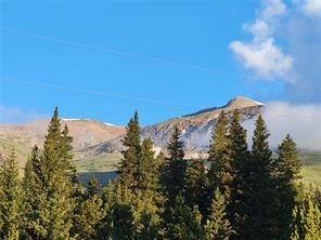 Alma, CO 80420,22 Rons RD
