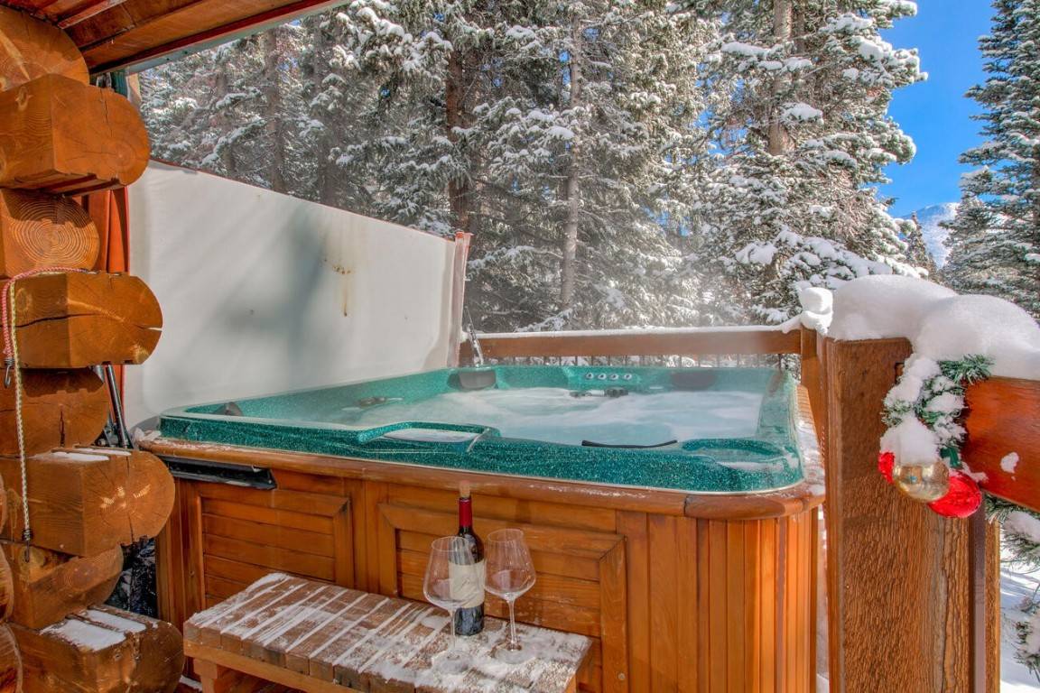 Breckenridge, CO 80424,229 Lee LN