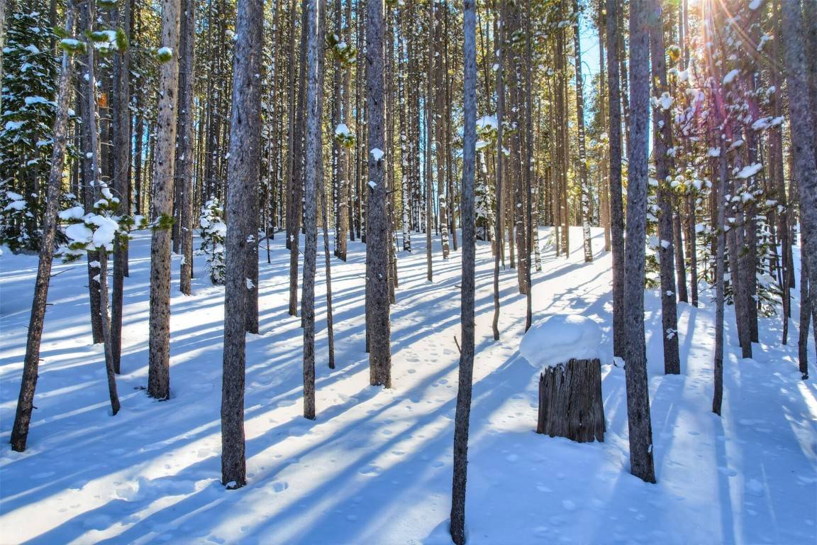 Blue River, CO 80424,62 Tesemini LN