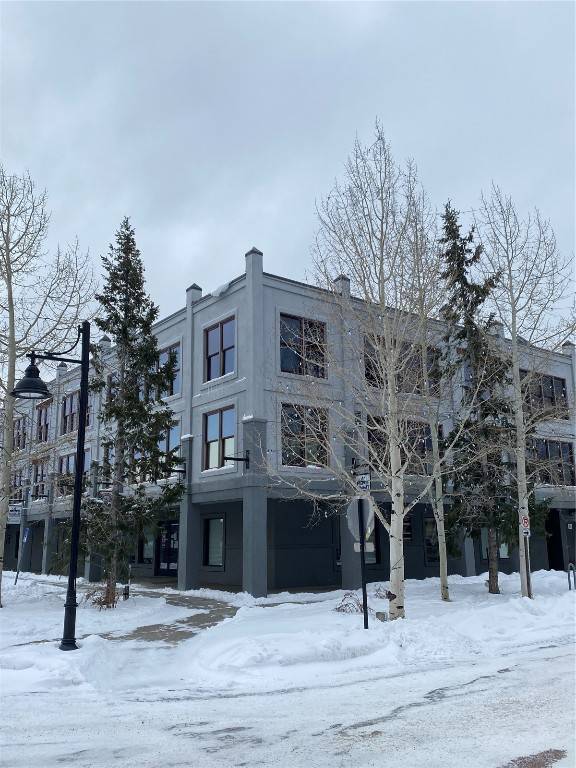 Dillon, CO 80435,114 Village PL #302