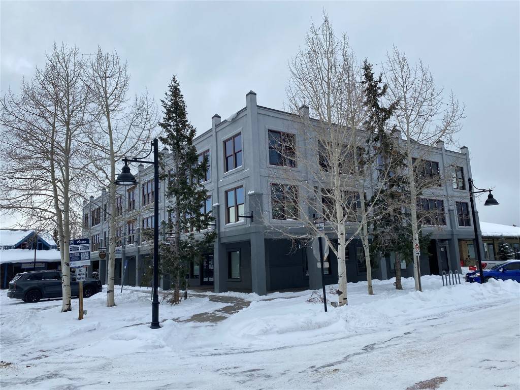 Dillon, CO 80435,114 Village PL #302