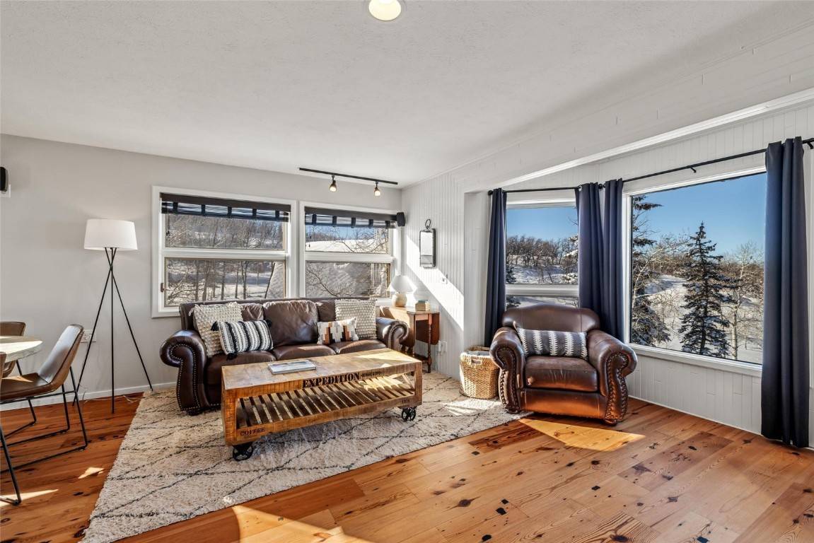 Steamboat  Springs, CO 80487,27145 Whitewood DR E