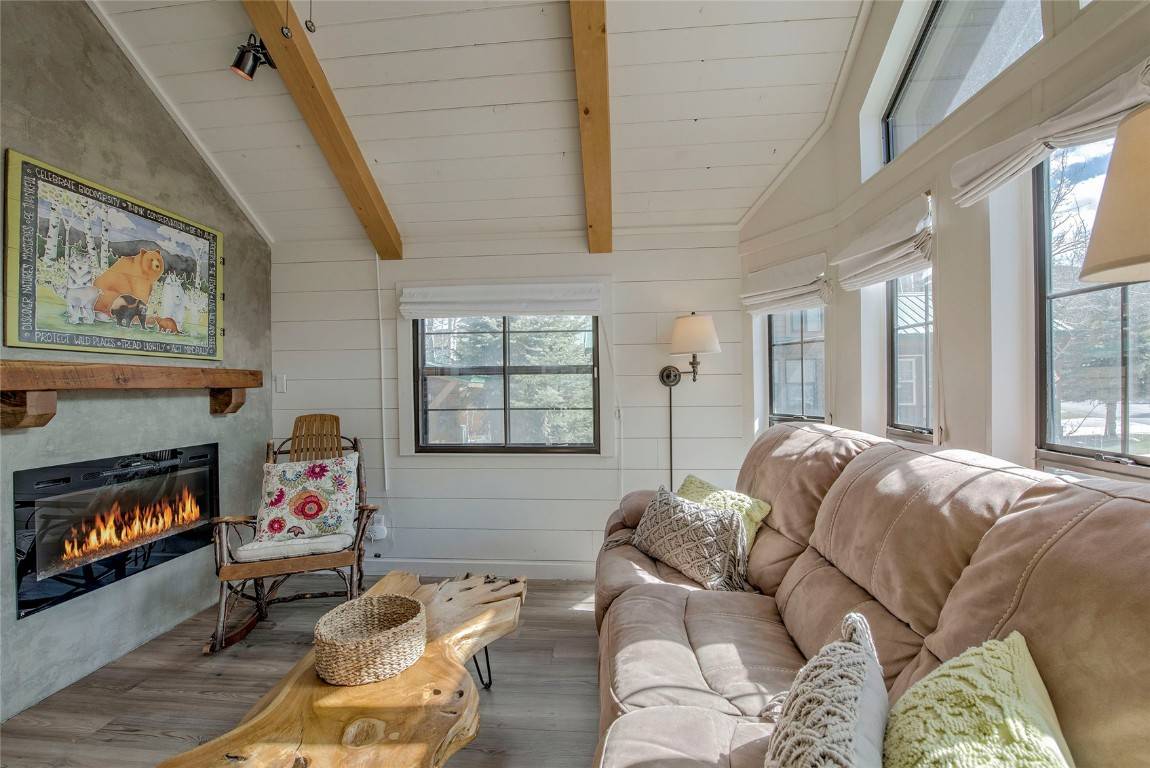 Breckenridge, CO 80424,85 Revett DR #99
