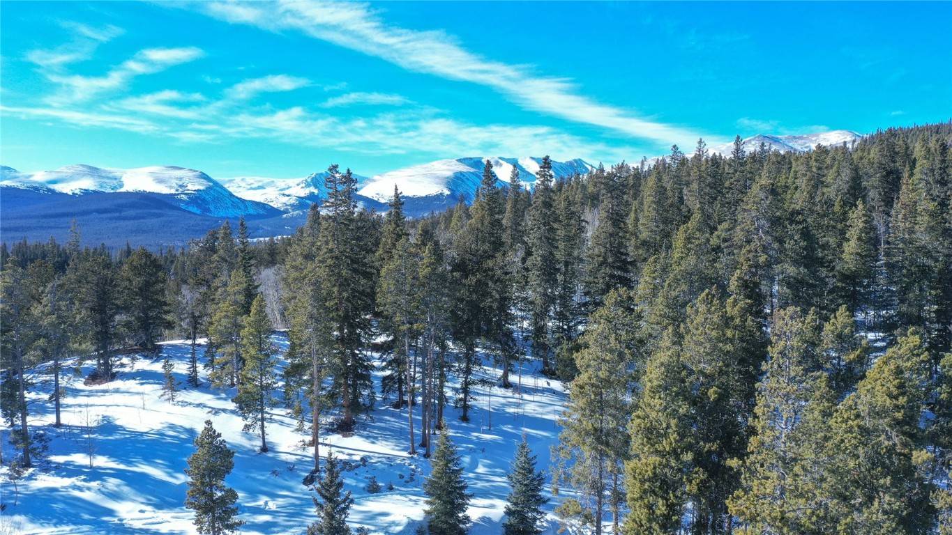Fairplay, CO 80440,169 Arctic Cat LN