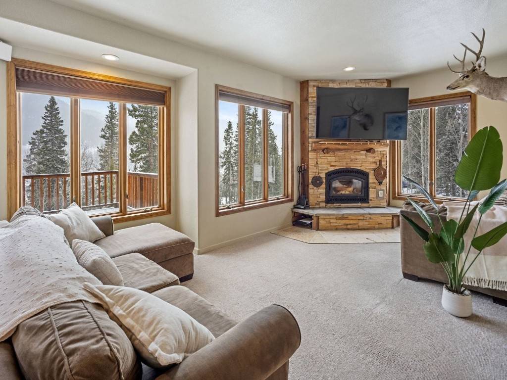 Alma, CO 80440,234 Peterson DR