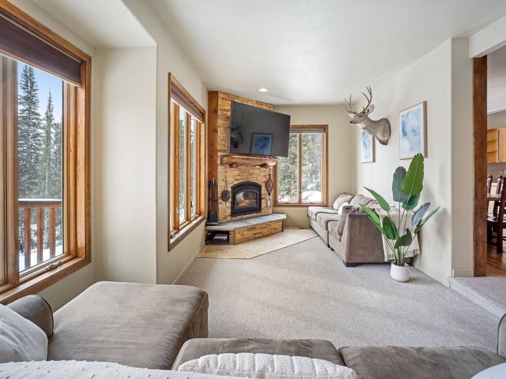 Alma, CO 80440,234 Peterson DR
