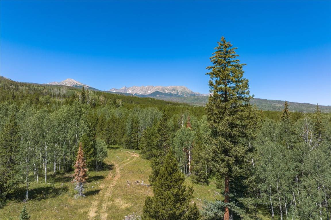 Silverthorne, CO 80498,TBD Whetstone Drive #8