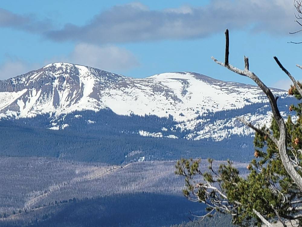 Fairplay, CO 80440,1411 Middle Fork