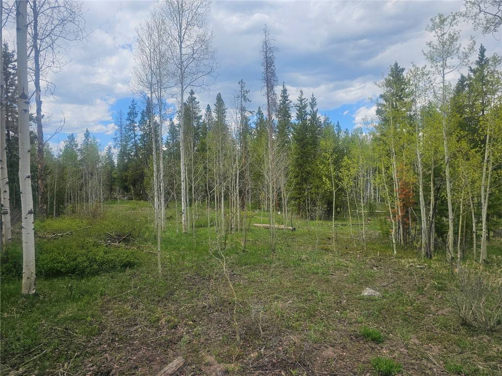 Oak  Creek, CO 80467,20850 Mustang WAY