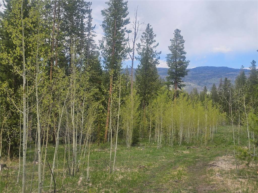 Oak  Creek, CO 80467,20850 Mustang WAY