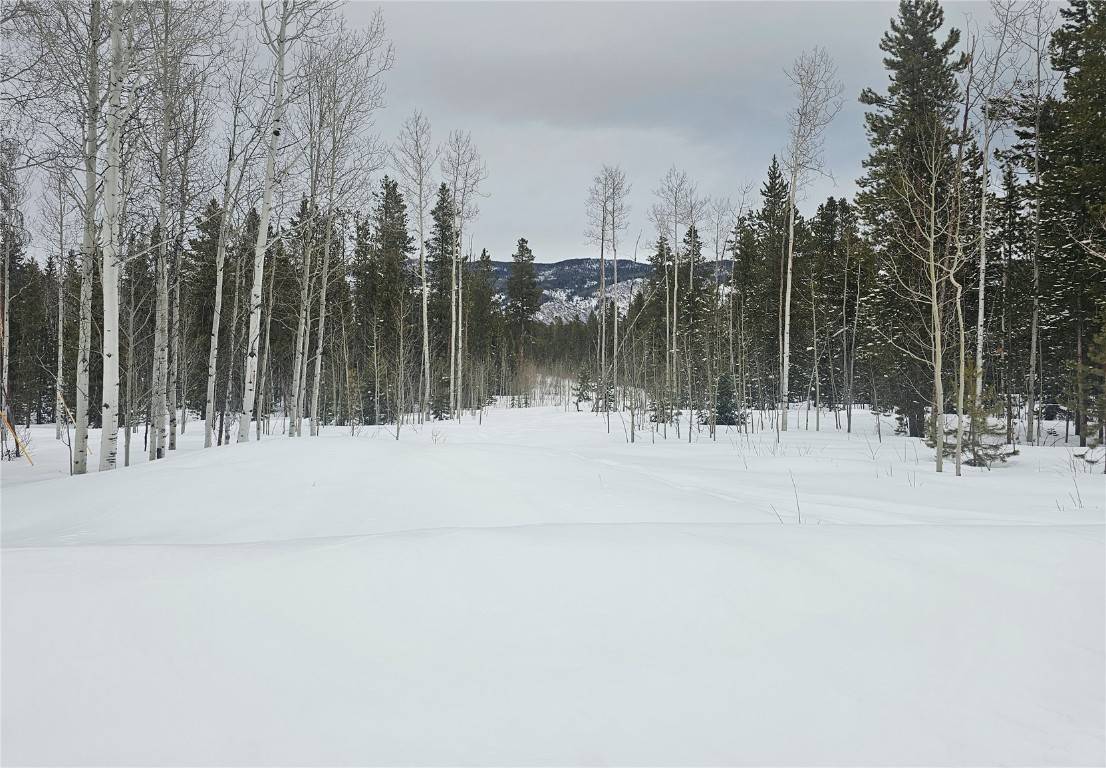 Oak  Creek, CO 80467,20850 Mustang WAY