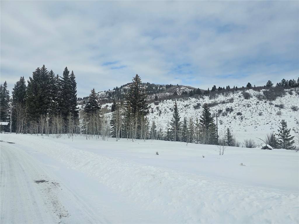 Oak  Creek, CO 80467,22628 Comanche RD