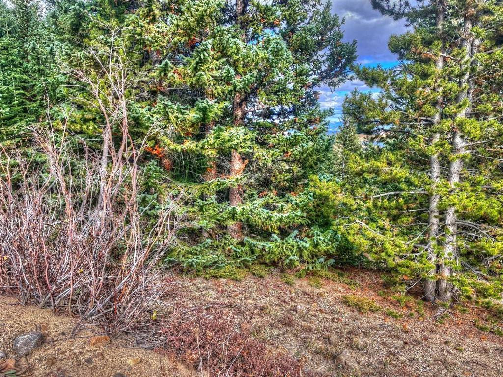 Fairplay, CO 80440,486 Valley Of The Sun DR