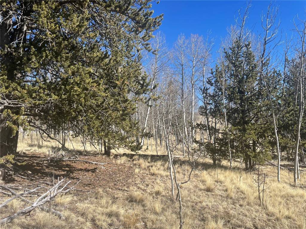 Como, CO 80432,90 Pahaska WAY