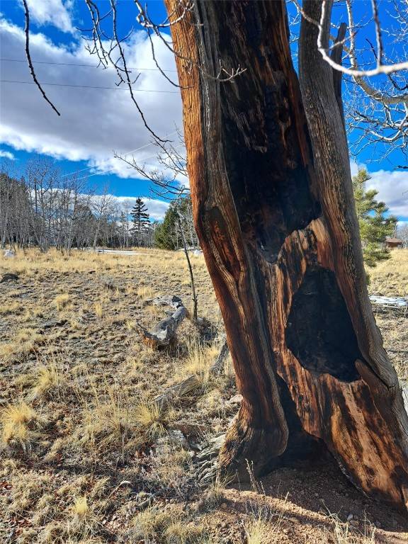 Como, CO 80432,560 Raven WAY
