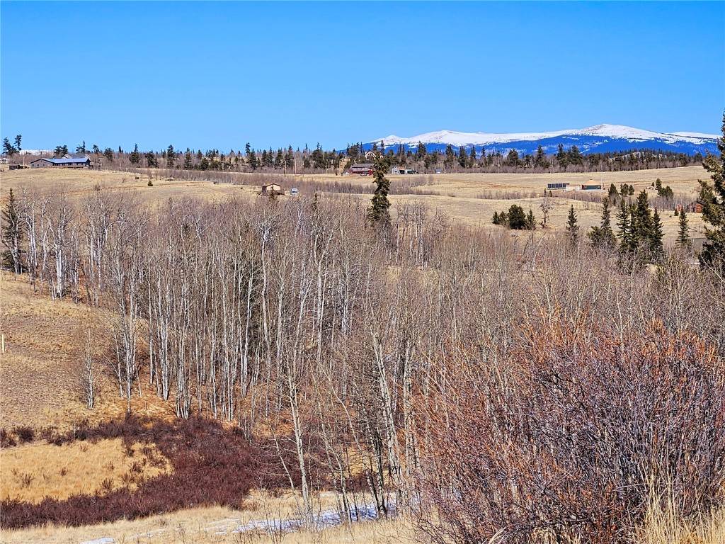 Como, CO 80456,TBD Hornbill